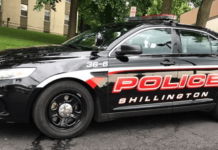 Un câine și-a împușcat accidental stăpânul după ce a sărit pe o pușcă lăsată pe pat