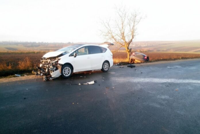 viber_image_2025-11-24_13-51-56-363