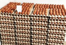 „ADALVA” SRL recheamă de la consumatori ouăle de găină, cu marcajul 3MD IL 017 și data durabilității minimale până la 28.12.2025, inclusiv.