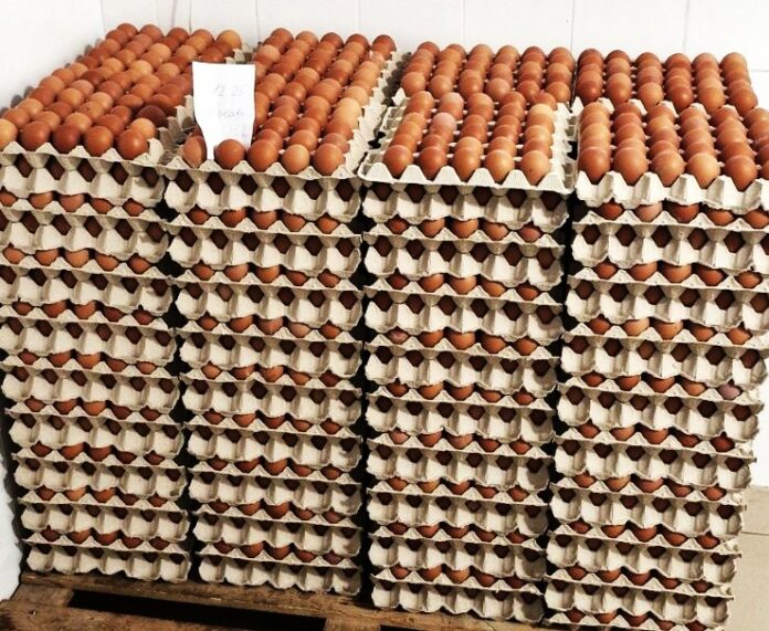 591837291_1149950170647018_7193670234838308997_n