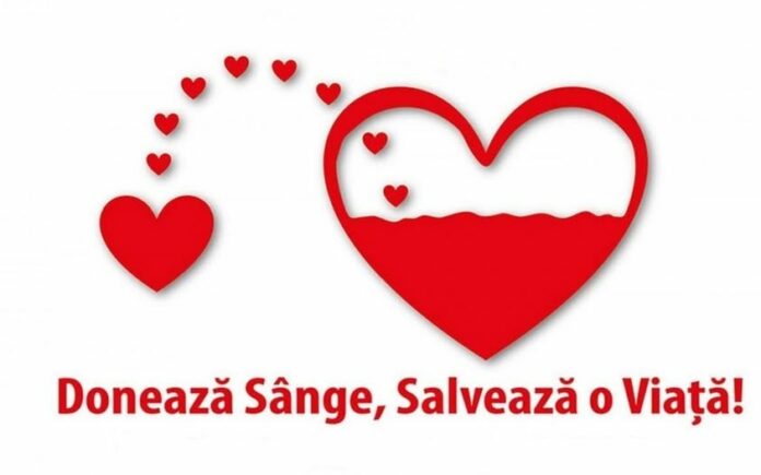 598691315_2265118767328971_7005530106050798809_n