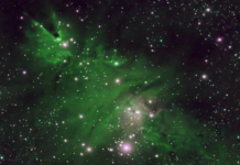 Bradul de Crăciun… din spațiu. Nebuloasa care uimește astronomii