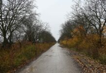 Meteo, 20 decembrie 2025: vreme posomorâtă și valori termice adecvate perioadei