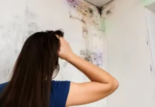 Mucegaiul din casă are culori diferite. Ce riscuri pot ascunde pentru sănătate