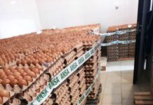 132.270 de ouă au fost retrase de pe piață și nimicite