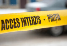 Trei bărbați, uciși și dați ca hrană la porci