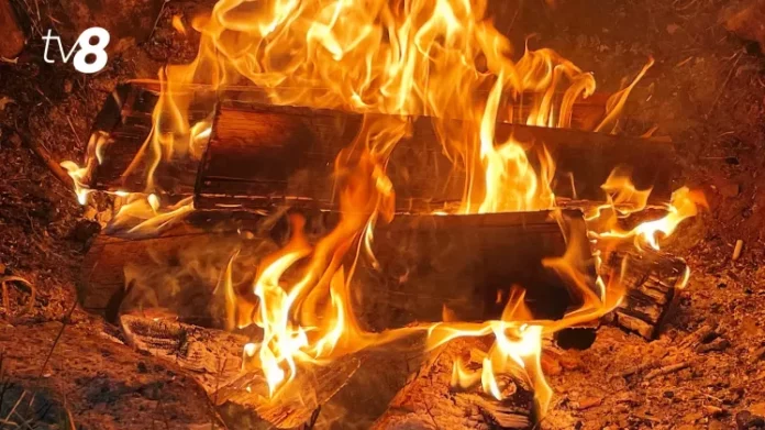 ed82e32b-581c-4ad5-a466-9a5c348caf4c_foc1 (1)