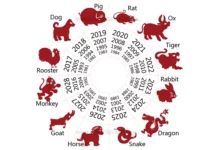 În funcție de astrologia chinezească – cu cine ești compatibil? Când unii nu se potrivesc deloc, Bivolul face casă bună cu Șobolanul