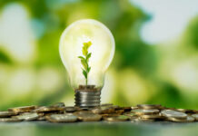 Cel puțin 24 de întreprinderi mici și mijlocii vor primi finanțare nerambursabilă de până la 1.500.000 de lei