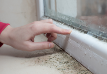 Cum scapi de mirosul de umezeală din casă și previi reapariția lui