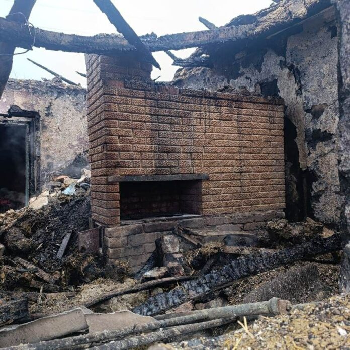 photo_2025-12-29_14-15-22 (6)