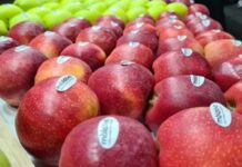 Un nou val de manipulare pro-Kremlin la tema exportului de fructe moldovenești în UE