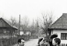 „Pe ulița noastră, când trecea Domnul Învățător, și câinii tăceau” – a fost cândva