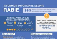 Cazurile de rabie se înmulțesc – raioanele Florești și Drochia printre „lideri”