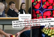 Manipulare despre relația Chișinău-Paris, după decizia Franței de a suspenda importul unor produse din afara UE