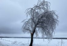 FOTOGRAFIA ZILEI: Iarna poate fi spectaculoasă!