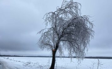 FOTOGRAFIA ZILEI: Iarna poate fi spectaculoasă!
