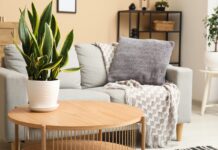 Arborele Banilor, bambusul sau crinul aduc noroc în 2026.