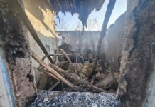 Tragedie la Dubna: O femeie a murit în urma unui incendiu / GALERIE FOTO