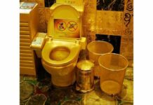 Cel mai scump W.C. din lume, cel mai lung sărut, cea… – TOP 7 recorduri ciudate