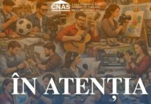 Antreprenorii independenți: drepturi la prestații sociale și aspecte importante privind recalcularea contribuțiilor