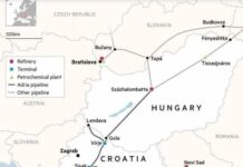 Țările din Uniunea Europeană ale căror premieri îi fac cu ochiul lui Putin, au o problemă cât casa