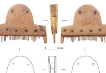 Ce ascunde un pieptene vechi de 1700 ani, scos la lumină dintr-un mormânt dublu din satul Dubna, raionul Soroca? / GALERIE FOTO