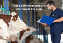 Profesează medicina veterinară și primește o îndemnizație unică echivalentă cu 15 salarii medii pe economie