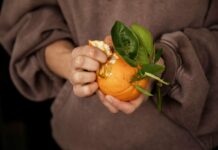 Cele mai sănătoase citrice care ajută la întărirea imunității . Ce poți să consumi în fiecare zi