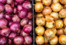 Cum să alegi cea mai proaspătă ceapă. Sfaturi esențiale și utile