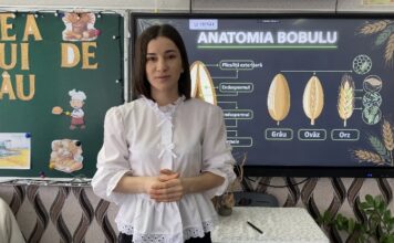Valentina Iazinschi a câștigat titlul de Ambasador Digital la concursul „Profesorul – Ambasador Digital” / VIDEO