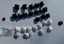 O femeie de 57 de ani a fost prinsă cu 35 pliculețe de droguri, în preajma unui liceu din Drochia / VIDEO