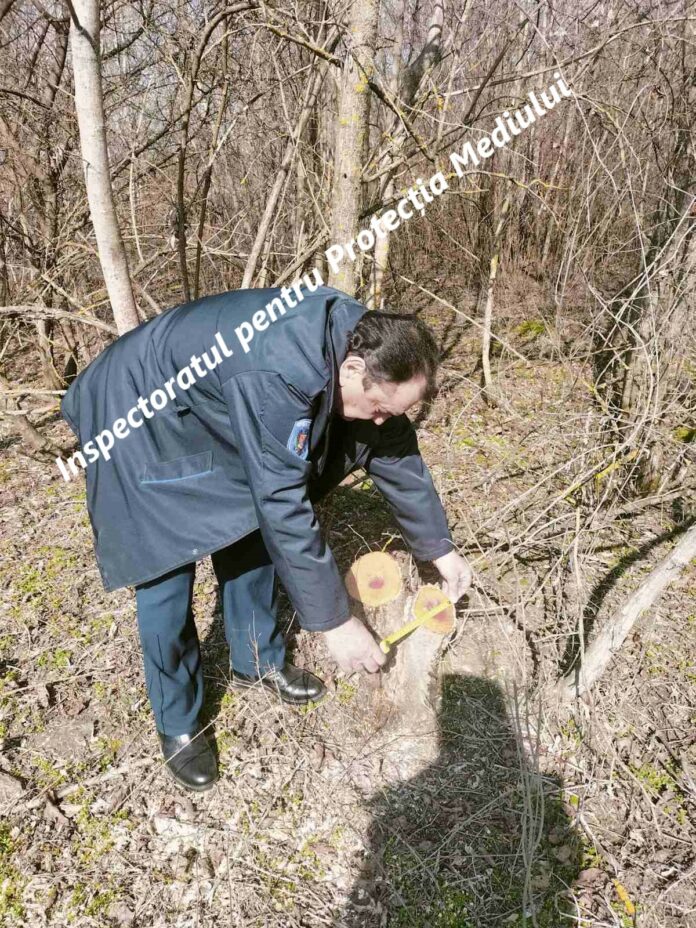 40a7480e752ff63f5d26ce058588dd8a97499538