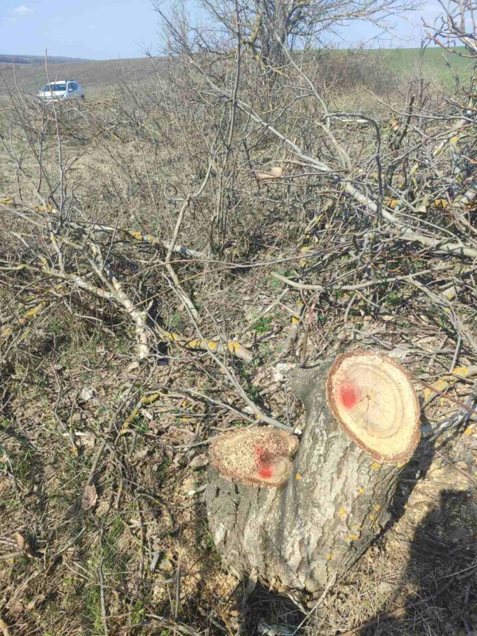 5b046eb3054f4cbca4aa5ce06b81373d12752166