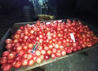 Un lot de 18 900 kg de rodii neconforme a fost depistat la frontiera de stat