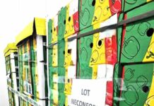 Agenția Națională pentru Siguranța Alimentelor a nimicit 9.306 kilograme de ardei de import