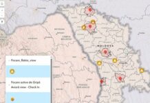 În raionul Drochia a fost depistat un caz de rabie