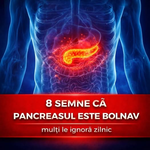 655601684_1506020871533352_8315087595028434470_n