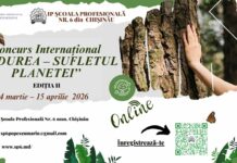 (Și) Elevii din raioanele Soroca, Florești și Drochia sunt invitați să participe la concursul „Pădurea: Sufletul planetei”, Ediția II