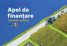 Granturi de până la 50.000 de euro pentru agricultori: termenul de depunere a dosarelor, extins până la 6 aprilie 2026