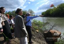 Republica Moldova și România vor planta pădure simultan pe ambele maluri ale Prutului, pe 14 martie