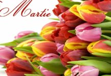 Cifrele nu mint: Femeile sunt mai învățate, muncesc mai mult, trăiesc mai mult, dar… primesc salarii mai mici decât bărbații