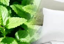 De ce să pui câteva frunze de mentă sub pernă înainte de somn