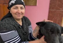 Jesica, câinele care știe că dragostea poate învinge boala / VIDEO