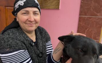 Jesica, câinele care știe că dragostea poate învinge boala / VIDEO