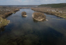 Gheorghe Hajder: „În prezent se observă noi pete de petrol care continuă să vină din amonte” / VIDEO