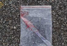 Și-a omorât cu cruzime nepoata cu dizabilități și mama acesteia. Inculpatul va petrece 20 de ani după gratii