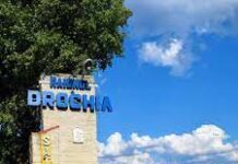 În satul Pelinia a fost confirmat un focar de Pesta porcină africană