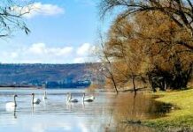 Meteo, 27 martie 2026: vreme frumoasă de primăvară, fără precipitații