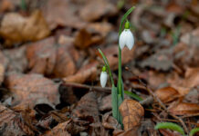 Meteo, 24 martie 2026: zi cu soare și valori termice adecvate perioadei
